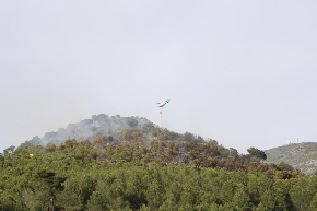 La Junta recuerda al PSOE que los técnicos serán quienes determinen las causas del fuego