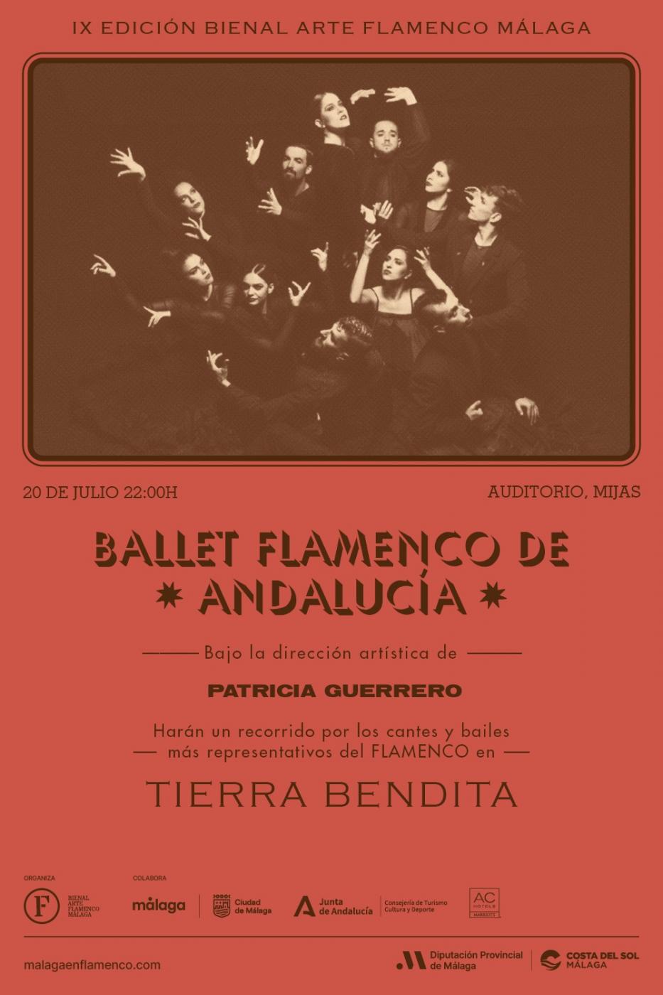 Cartel promocional del espectáculo. 