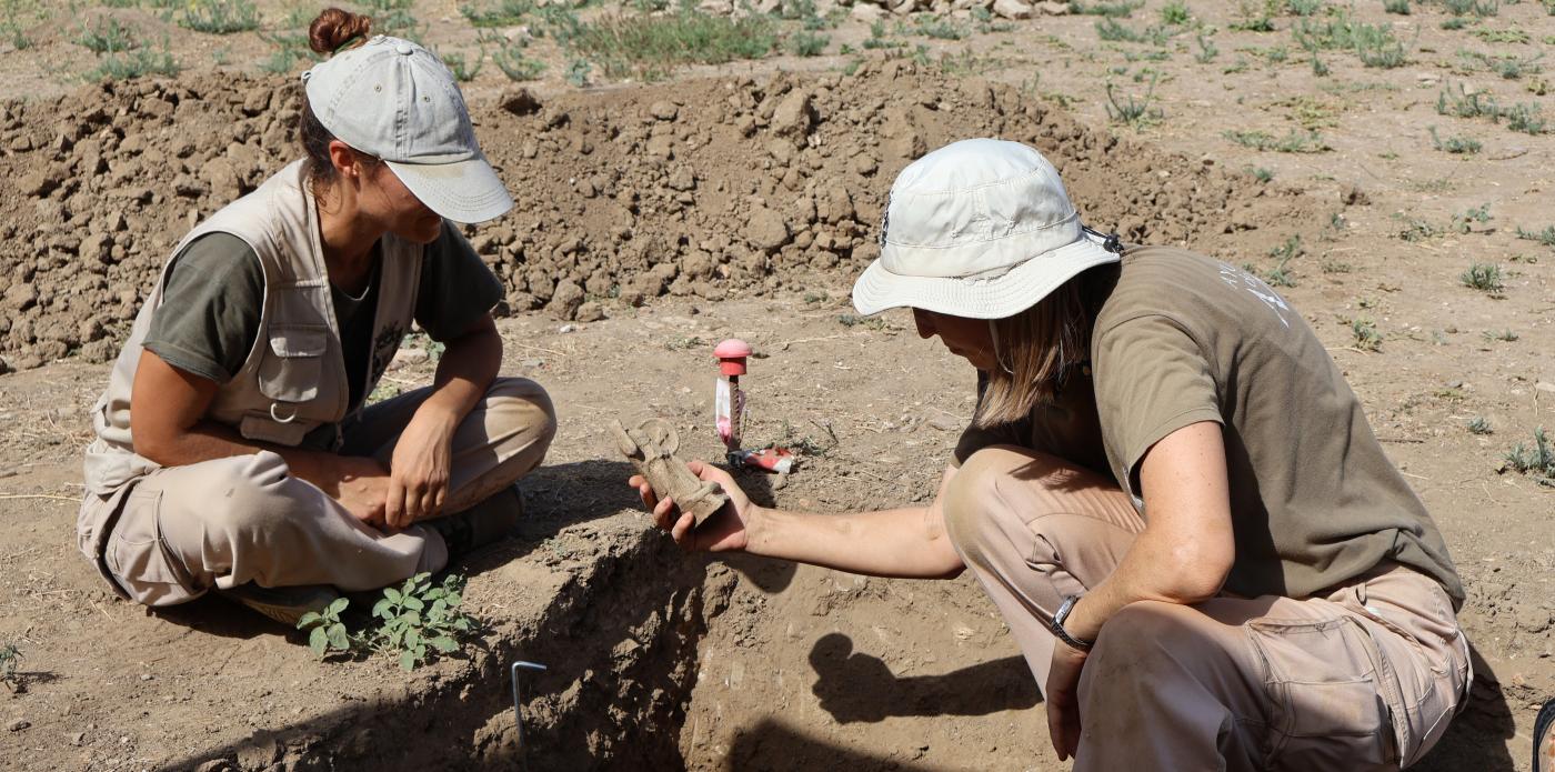 Estas piezas se han hallado durante la cuarta fase de excavación, en la zona de las termas. P. MURILLO. 